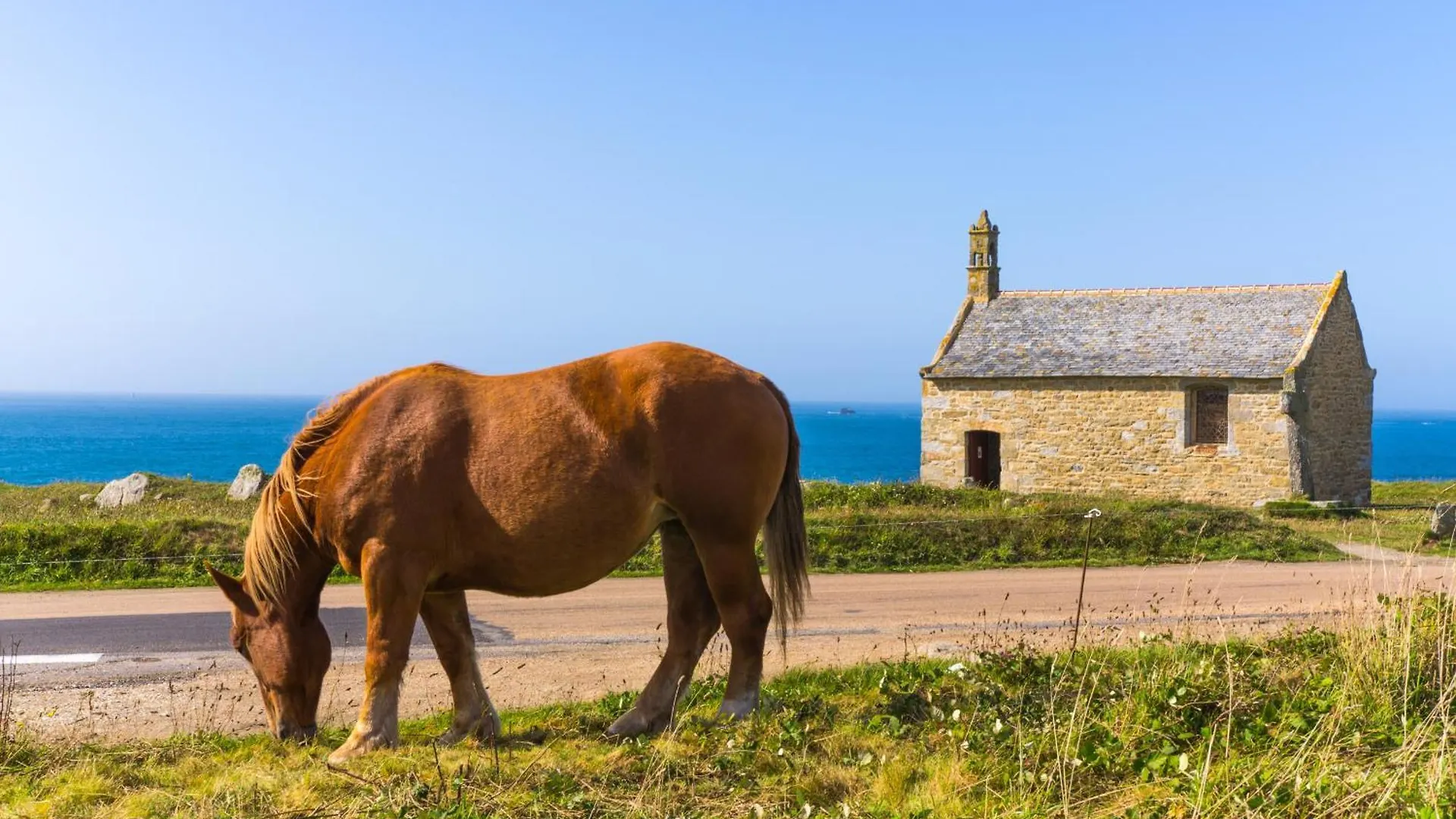 Holiday home Ty Carn - Belle Maison Bretonne A 100M De La Mer Ploudalmezeau
